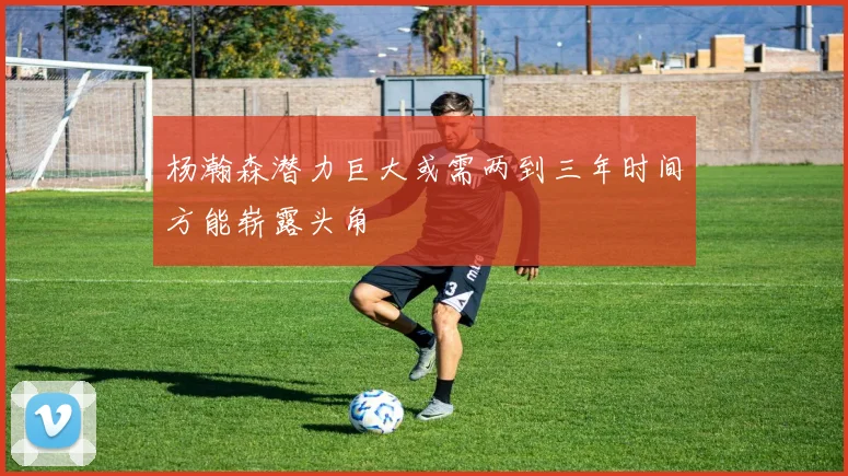 杨瀚森潜力巨大或需两到三年时间方能崭露头角