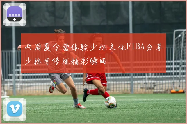 两周夏令营体验少林文化FIBA分享少林寺修炼精彩瞬间