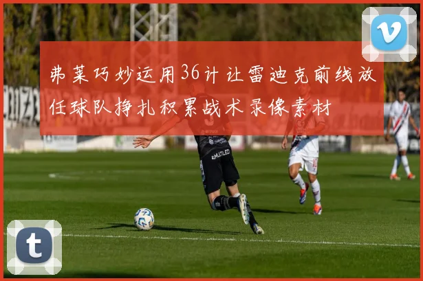 弗莱巧妙运用36计让雷迪克前线放任球队挣扎积累战术录像素材