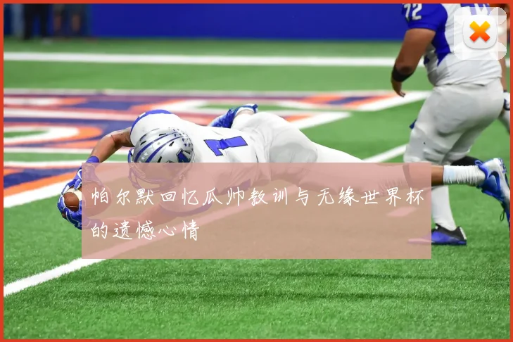 帕尔默回忆瓜帅教训与无缘世界杯的遗憾心情