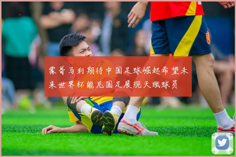 蒙哥马利期待中国足球崛起希望未来世界杯能见国足展现天赋球员